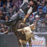 pbr bull riding 4891